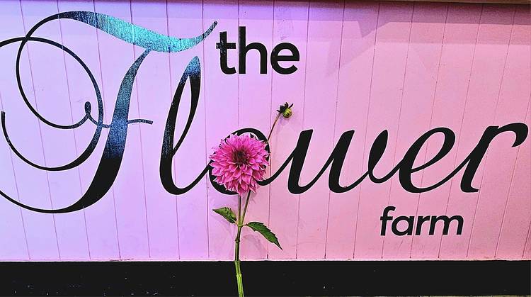 Nelson Wedding Florists: The Flower Farm